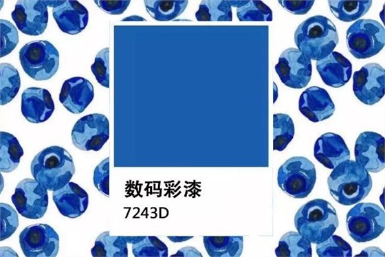 「水果藍(lán)莓色」 深沉“感官營(yíng)養(yǎng)”的墻面暗色系