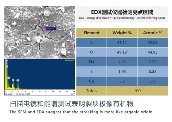 想讓雨過不留痕？潮濕季節(jié)外墻施工這些要點請牢記！