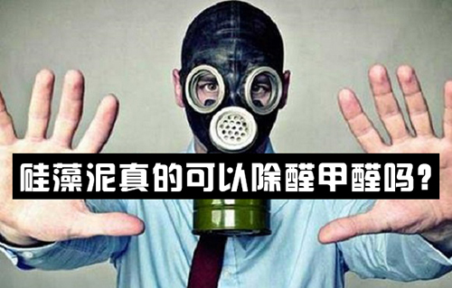 硅藻泥真的可以除醛甲醛嗎？