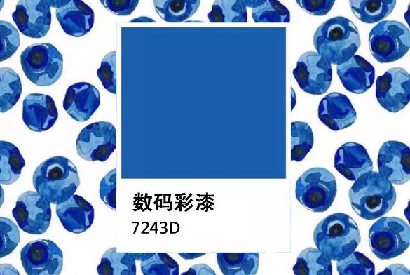 「水果藍莓色」 深沉“感官營養(yǎng)”的墻面暗色系